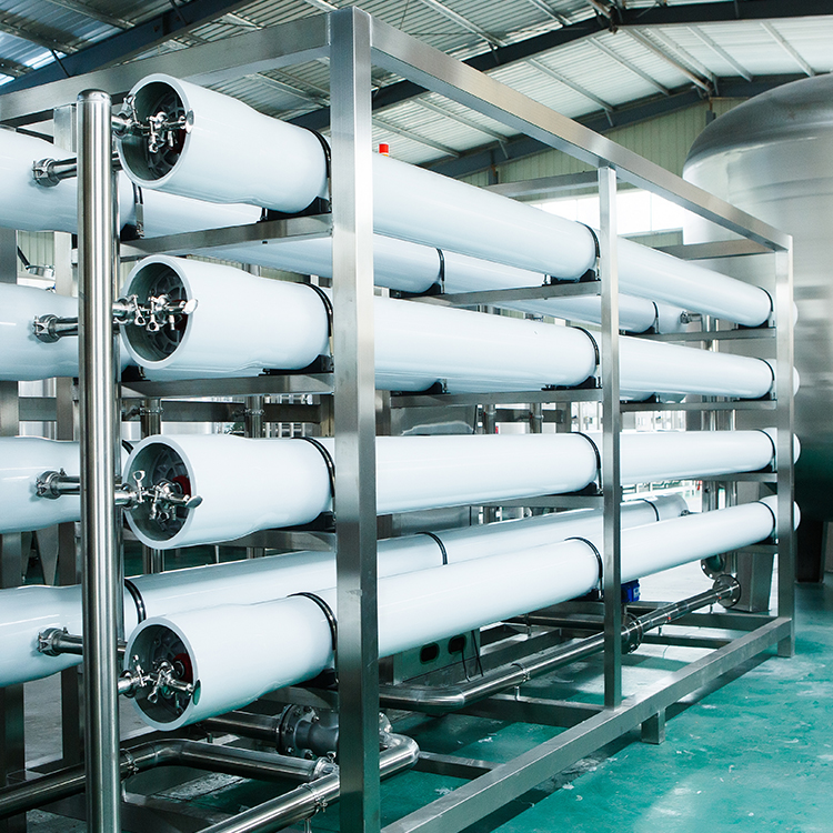 食品廠反滲透純水設(shè)備